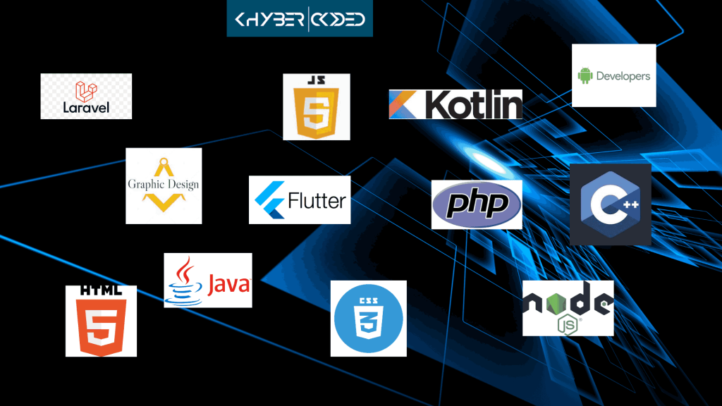 Expertise in Professional Software Service's in Peshawar