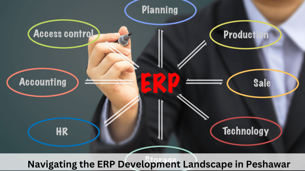 Navigating the ERP Development Landscape in Peshawar